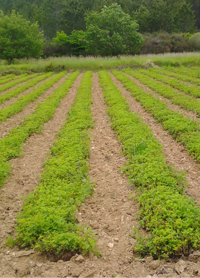 Free HTML5 Bootstrap Template by FREEHTML5.co