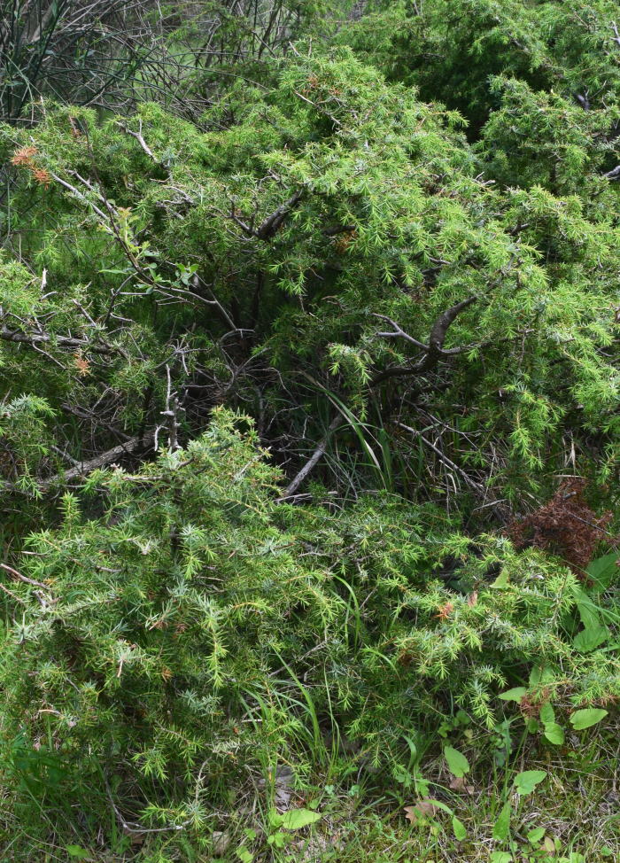 Free HTML5 Bootstrap Template by FREEHTML5.co