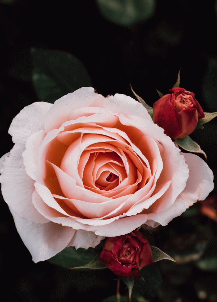 Free HTML5 Bootstrap Template by FREEHTML5.co