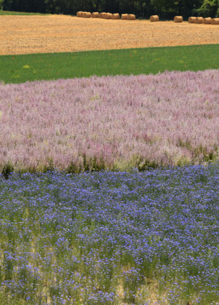 Free HTML5 Bootstrap Template by FREEHTML5.co