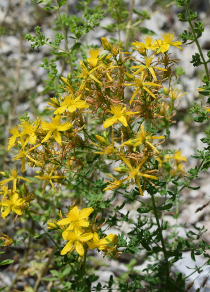 Free HTML5 Bootstrap Template by FREEHTML5.co