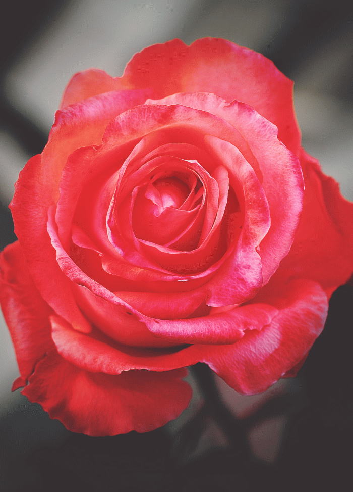 Free HTML5 Bootstrap Template by FREEHTML5.co