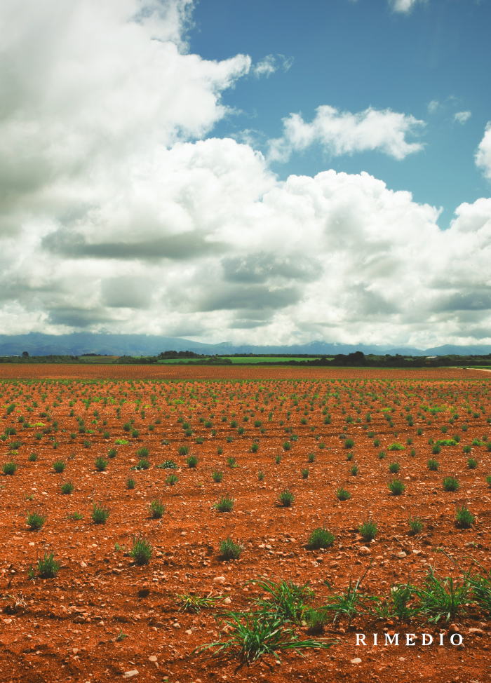 Free HTML5 Bootstrap Template by FREEHTML5.co